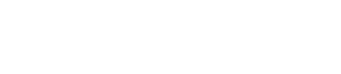 Fidelity